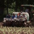 Exploring the Agriculture Industry in Clark County, Kentucky through Documentaries